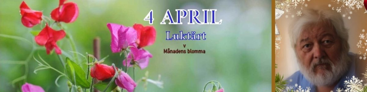 Farfar Hebbe en yngling på 83 bast